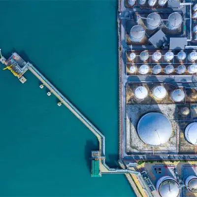 ХИМИЧЕСКАЯ И НЕФТЕХИМИЧЕСКАЯ